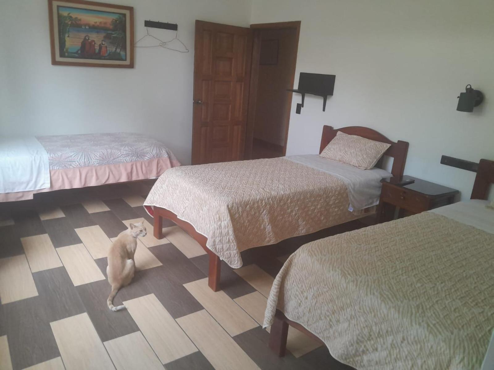 Hostal Limoncocha Тена Экстерьер фото