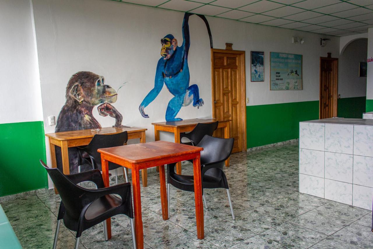 Hostal Limoncocha Тена Экстерьер фото